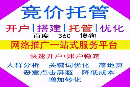 竞价排名在搜索引擎营销中的运用案例